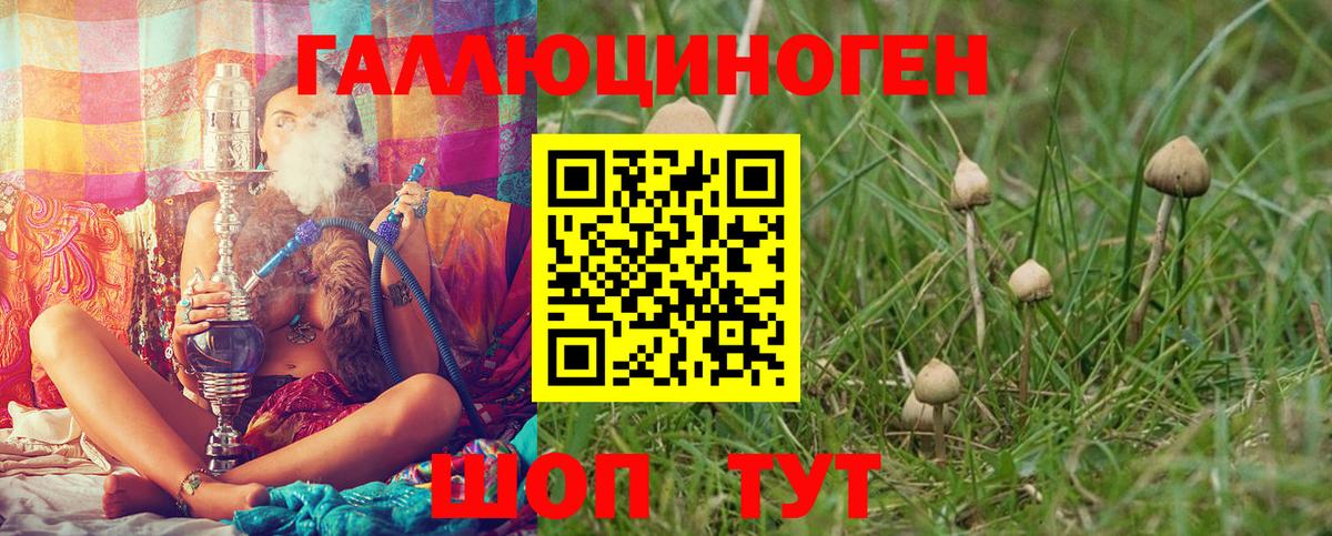 Псилоцибиновые грибы MAGIC MUSHROOMS Воронеж