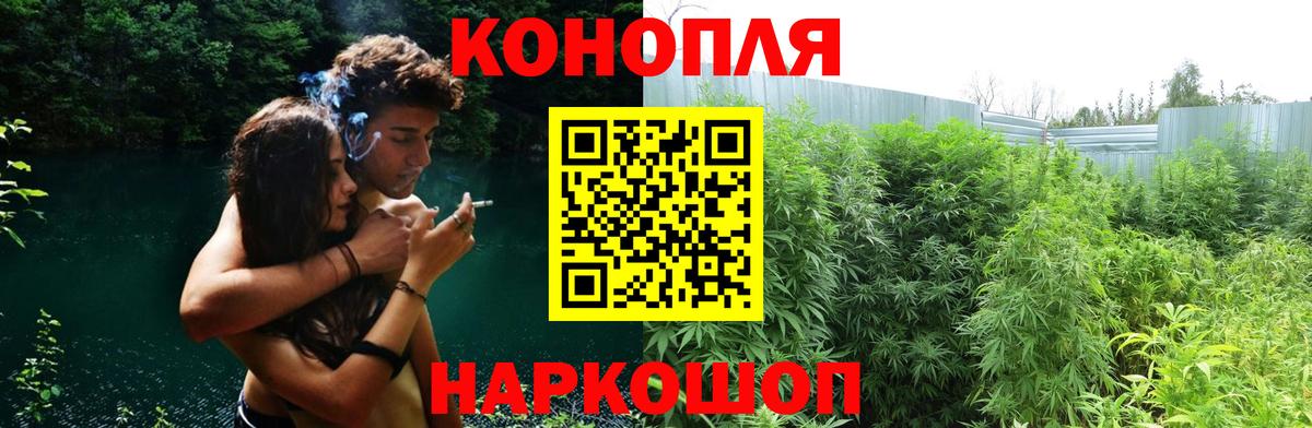 Воронеж  Канабис MAZAR  Шишки марихуана план  Вход с VPN  Канабис Bruce Banner  Каннабис планчик 